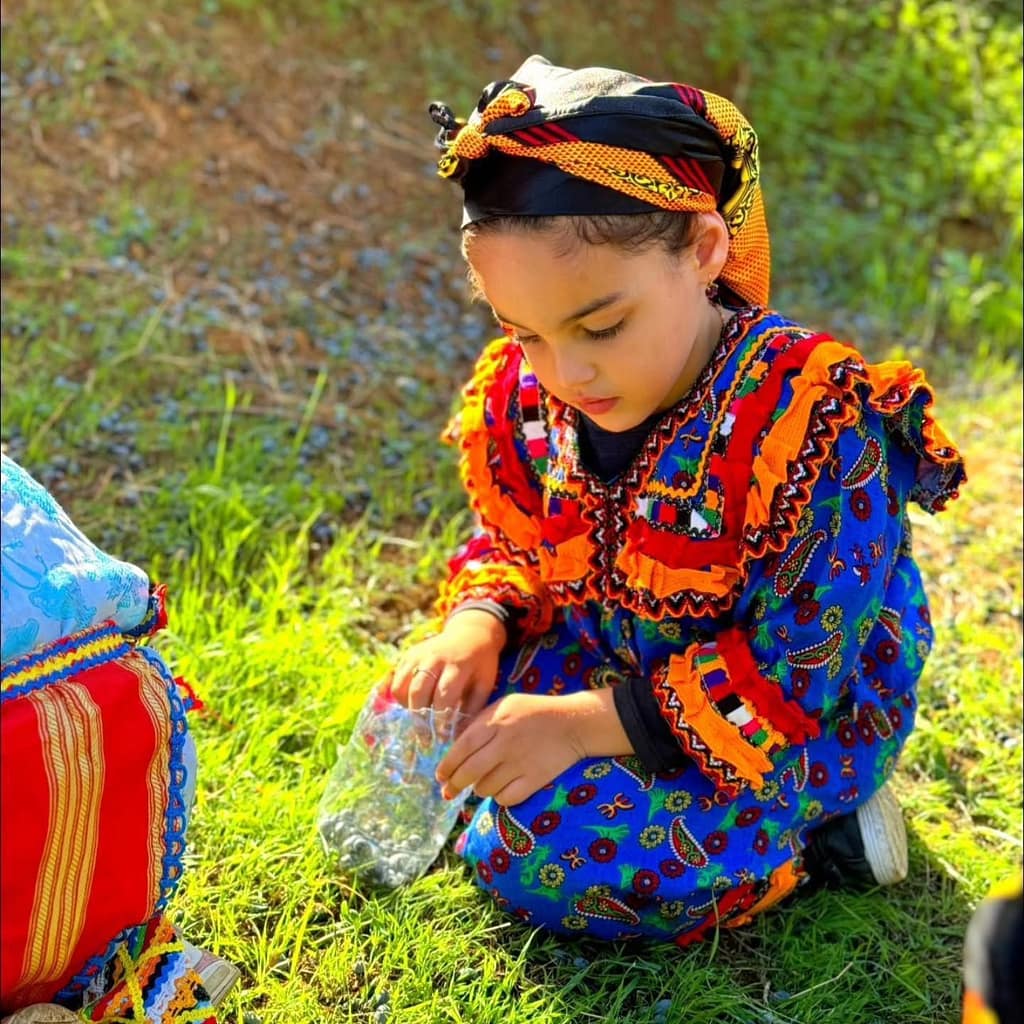 la ceuillette des olives par les enfants

