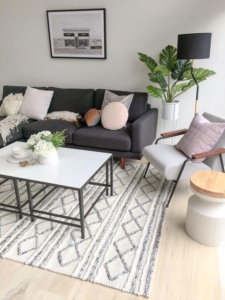 modern style for living room